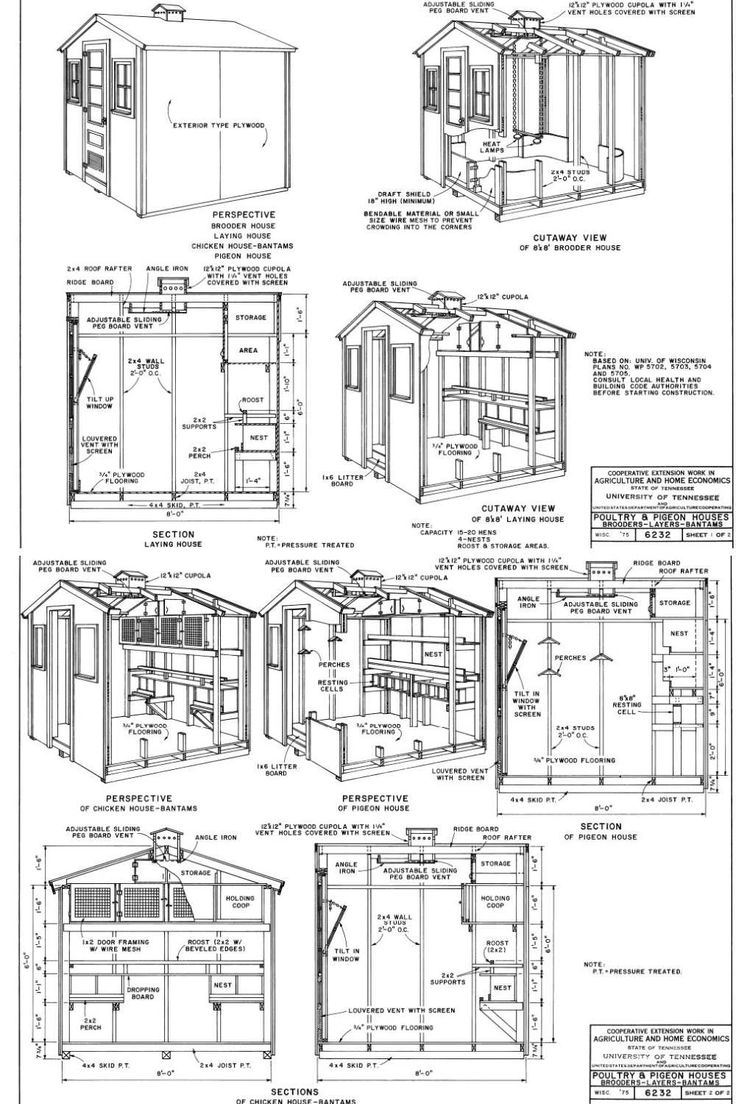 10 Free 8x8 Chicken Coop Plans You Can DIY This Weekend
