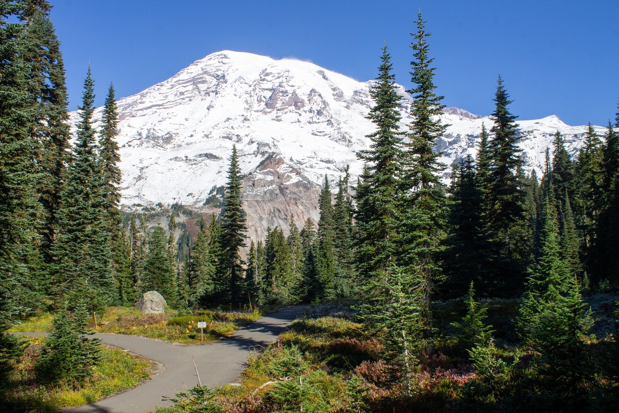 15 Fun And Easy Things To Do At Mt Rainier National Park Pines And Vines