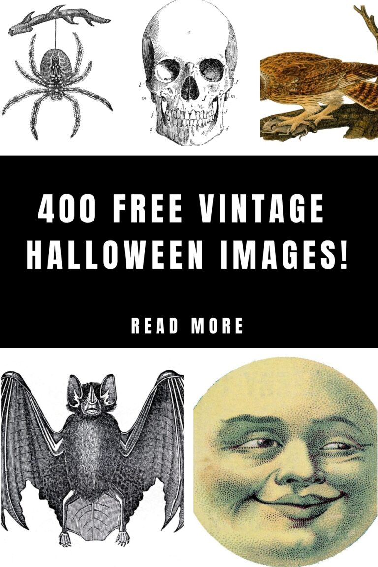 400 Free Vintage Halloween Images The Graphics Fairy