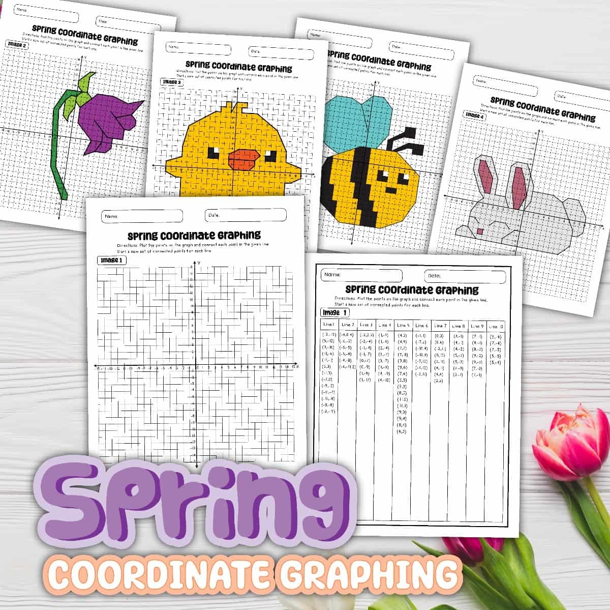 8 Free PDF Coordinate Graphing Picture Worksheets
