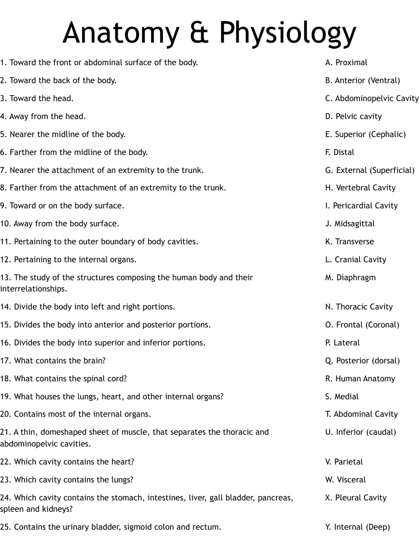 Anatomy Physiology Worksheet WordMint