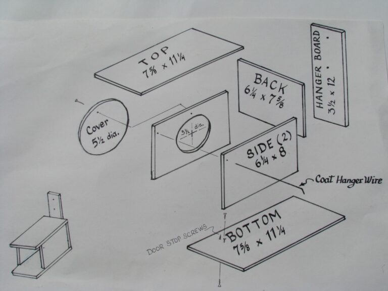 Articles Purple Martin Place