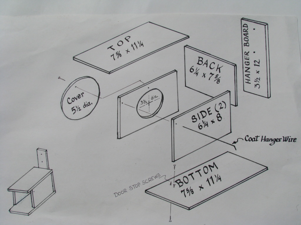 Articles Purple Martin Place