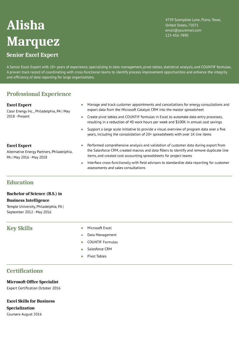 Best Excel Expert Resume Examples And Templates For 2025 ResumeBuilder