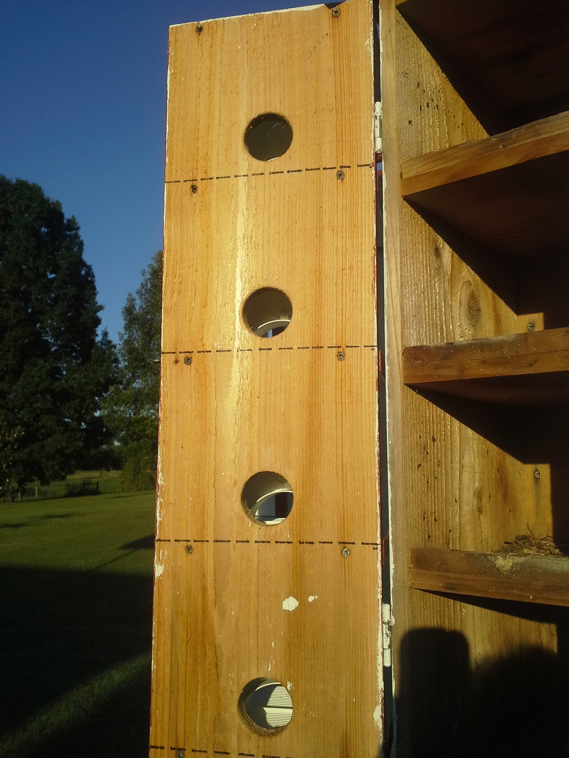 free printable purple martin house plans
