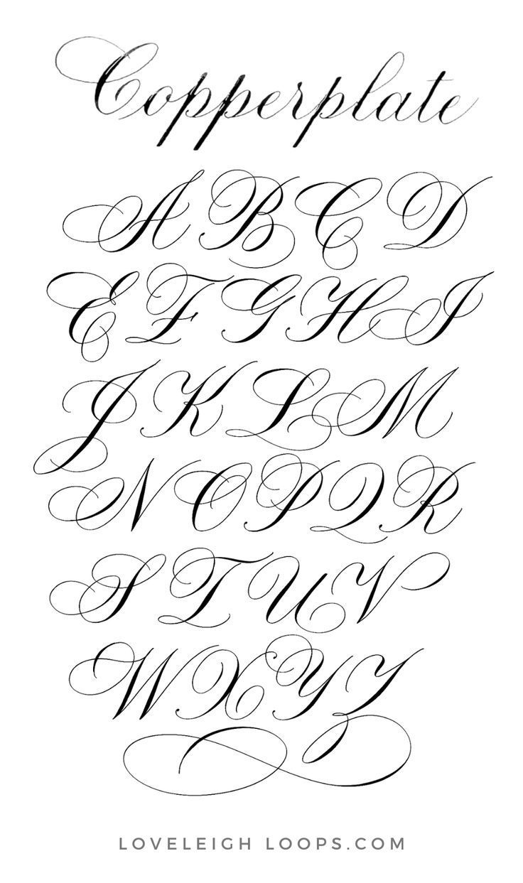 Copperplate Calligraphy Alphabet With Flourishes A Step by Step Guide