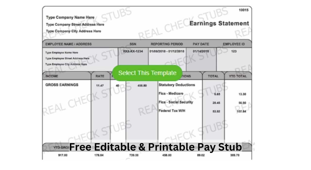 Editable Pay Stub Templates Customizable Check Stubs Download