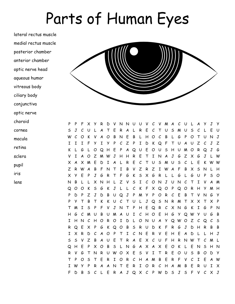 Free Daily Word Searches Worksheets Library