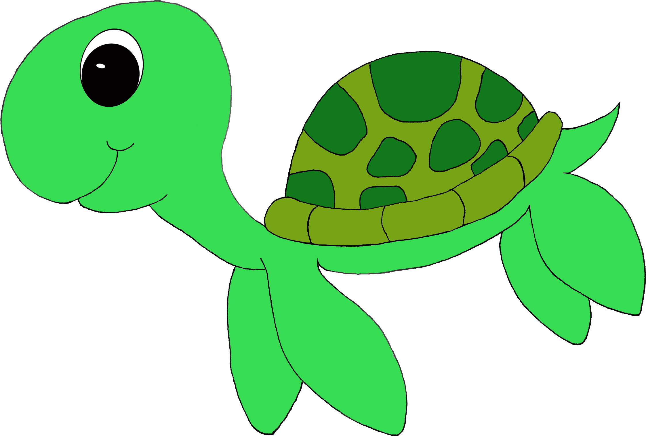 Free Printable Turtle Clip Art Cute Sea Turtle Clipart 2255x1530 Png Clipart Download