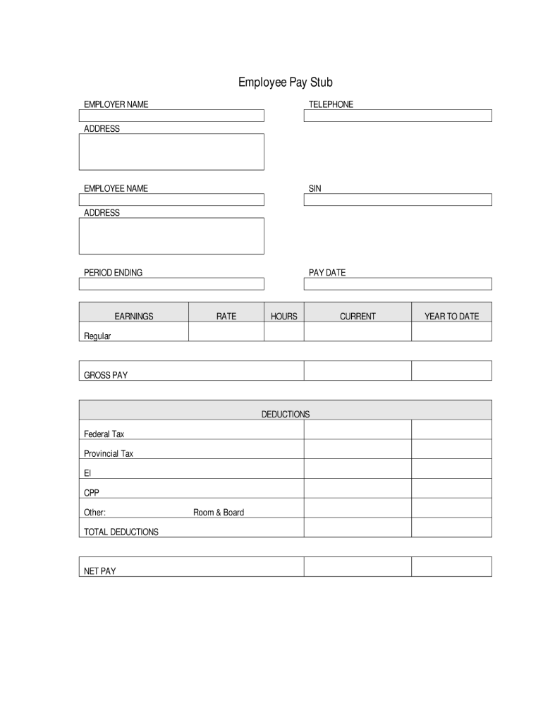 Paycheck Stubs Printable Pdf Fill Online Printable Fillable Blank PdfFiller