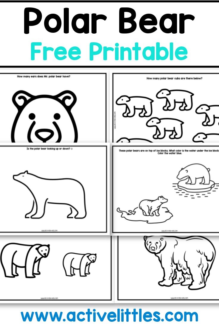 Polar Bear Free Printable Active Littles