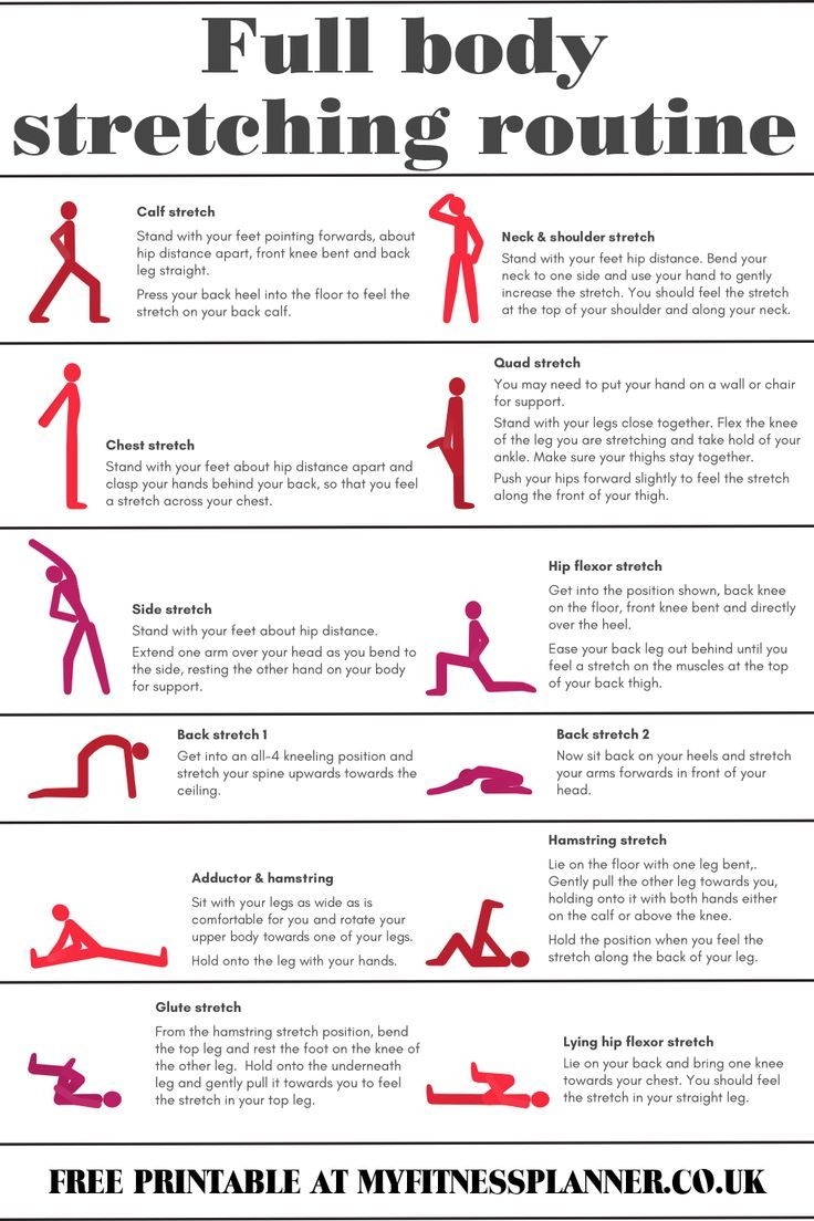Stretching Exercises PDF Free Download