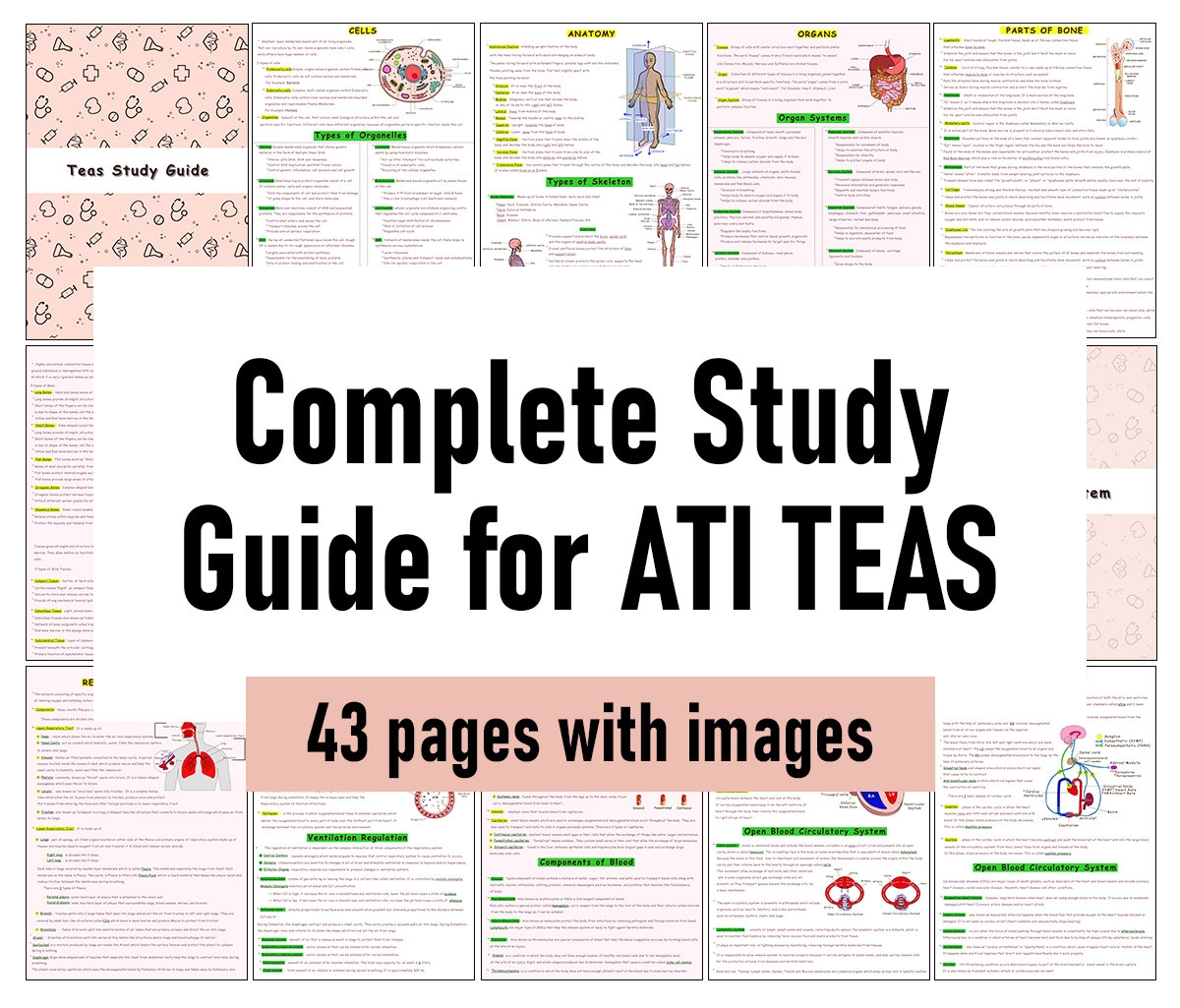 The Complete ATI TEAS 7 Study Guide Etsy