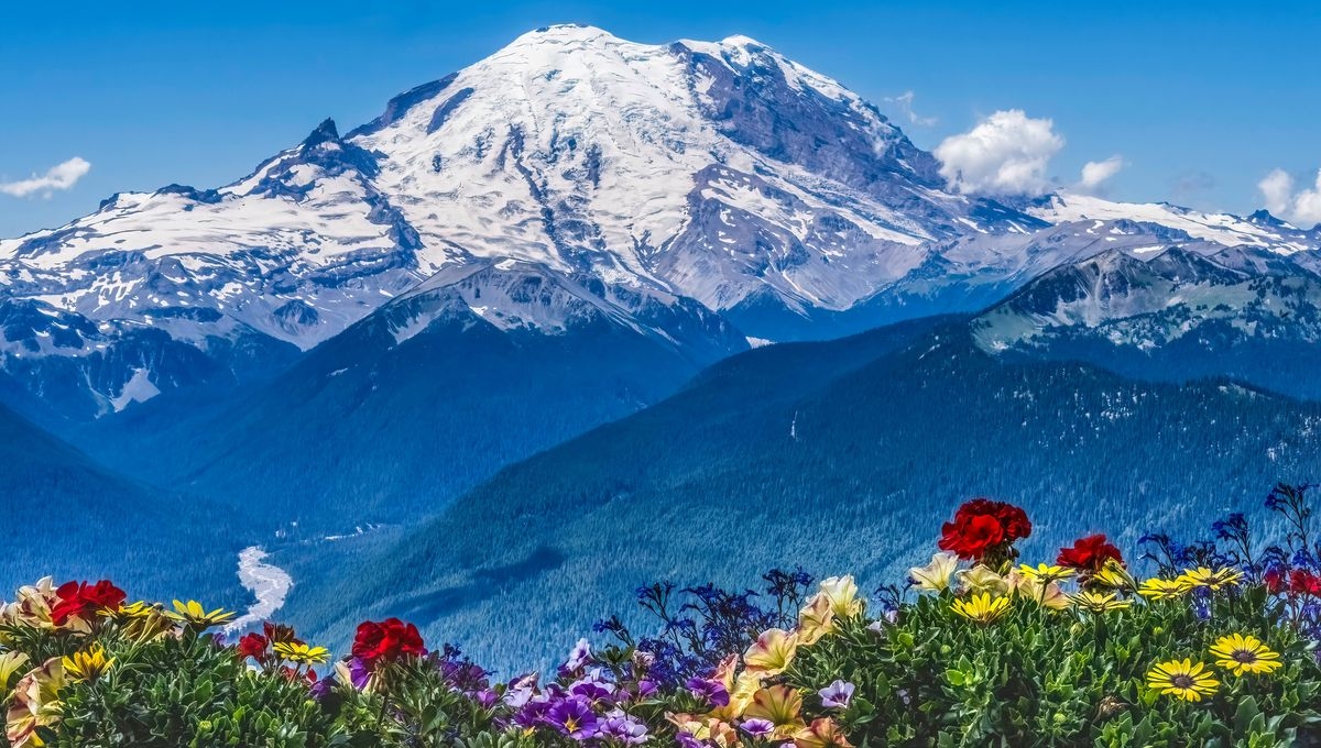 Washington s Mount Rainier May Be Shrinking As Ice Melts IFLScience