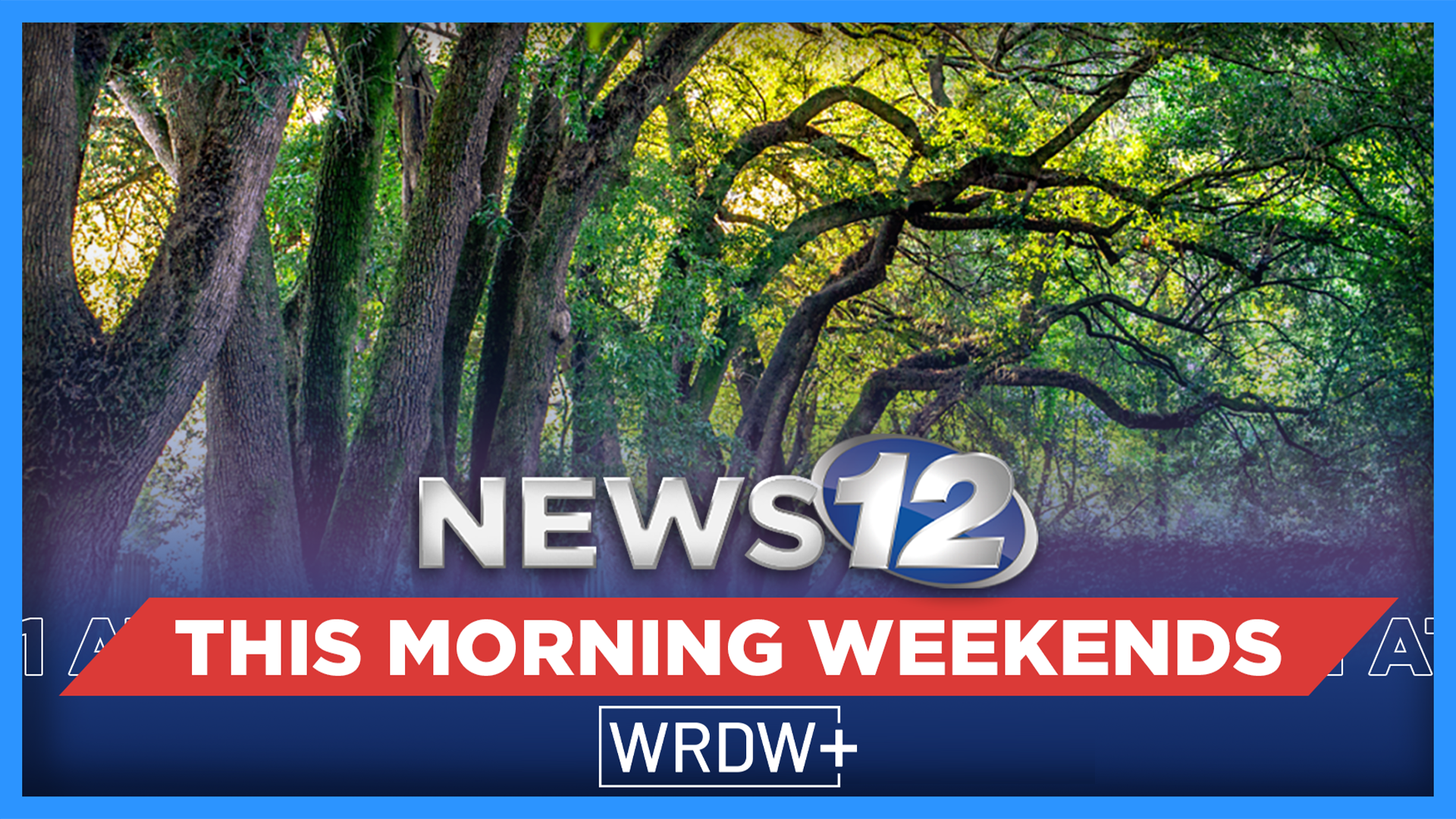 Live Newscasts