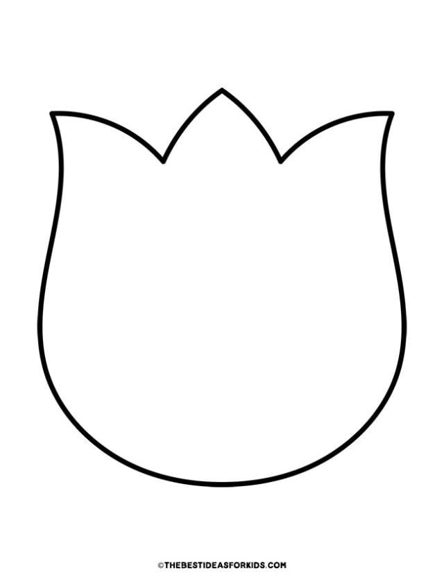 Close-up of a tulip template printable petals
