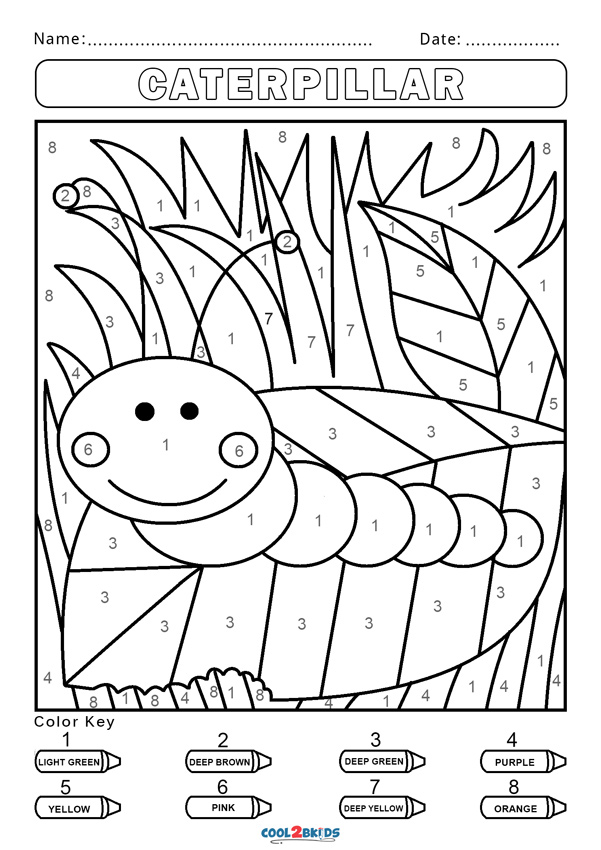 Close-up mandala coloring with numbered segments