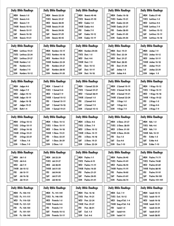 Librarian-organized study plan layout on desk