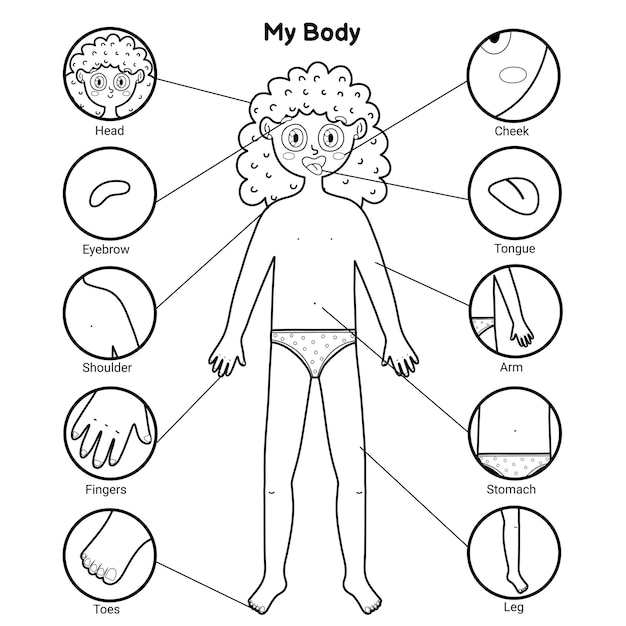 Older elementary student shading intricate body parts diagram