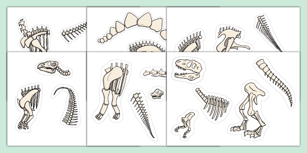 Child coloring a detailed dinosaur fossil page